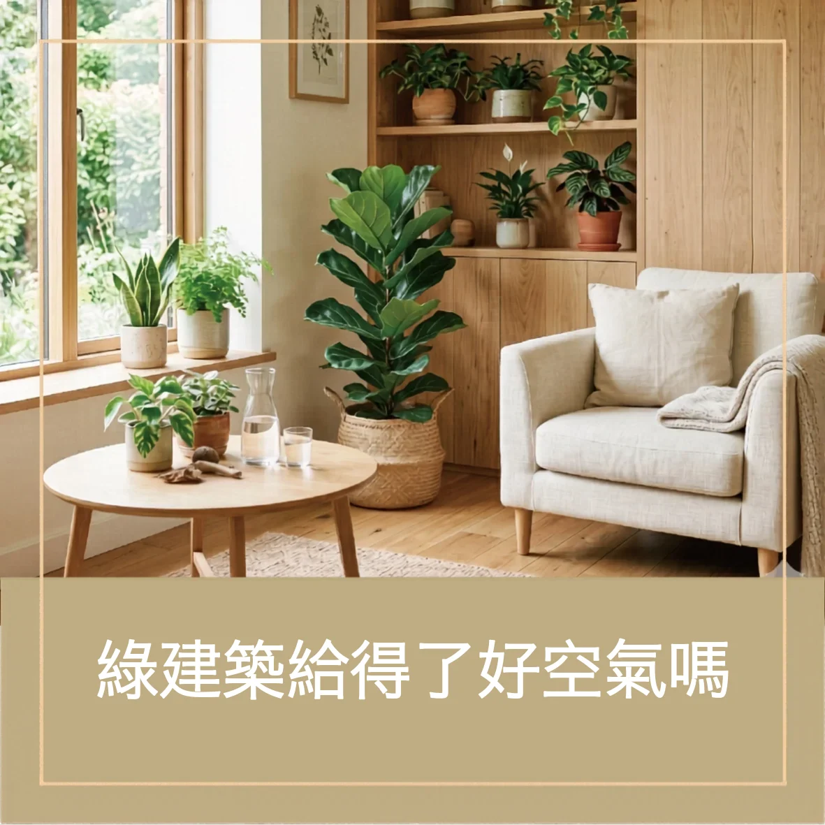 11 healthy home indoor air quality