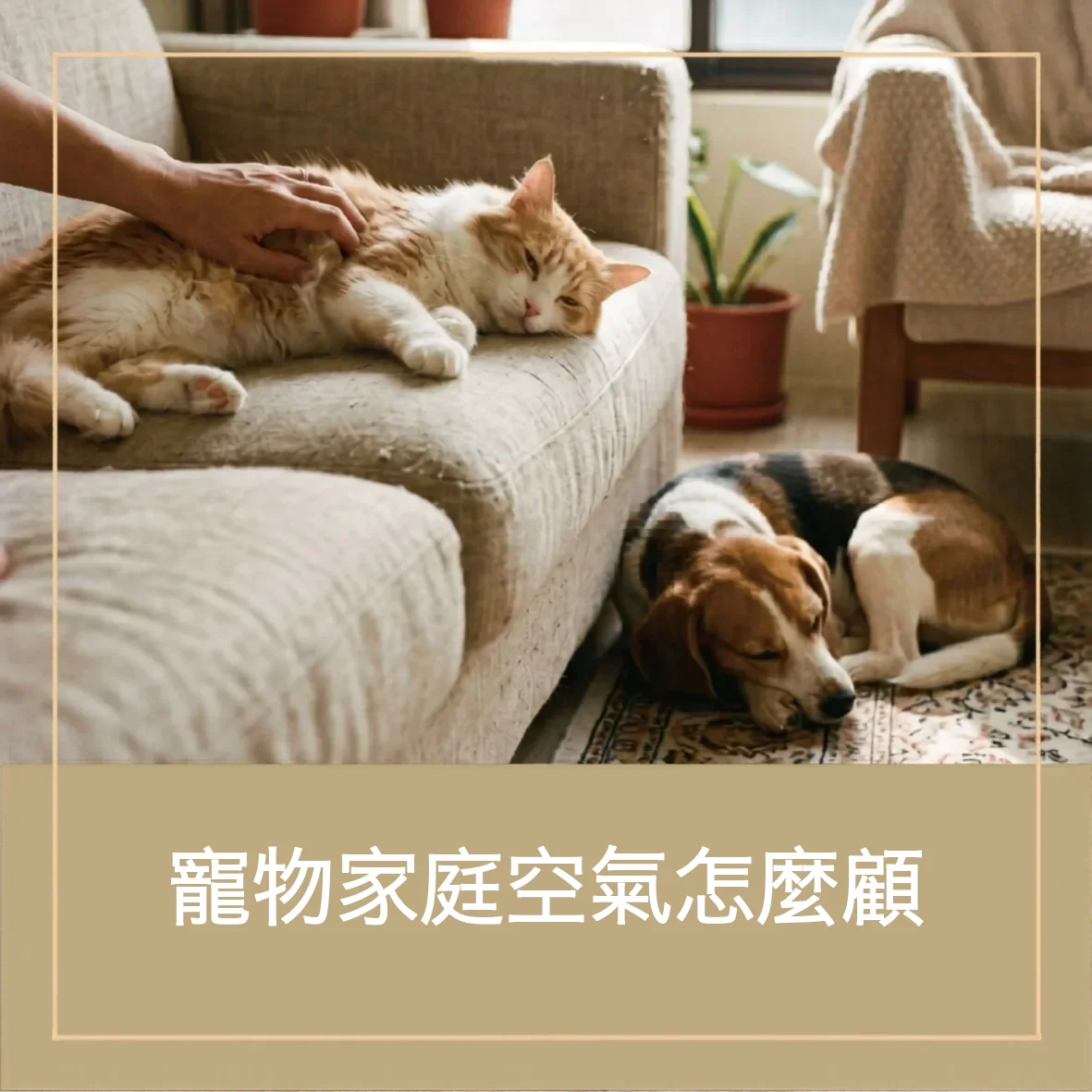 07 pet odor allergy air purification